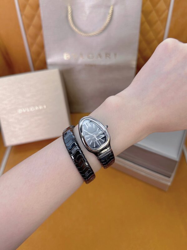 6 BVLGARI Serpenti 27HF00 (Black Dial, Steel & Ceramic)