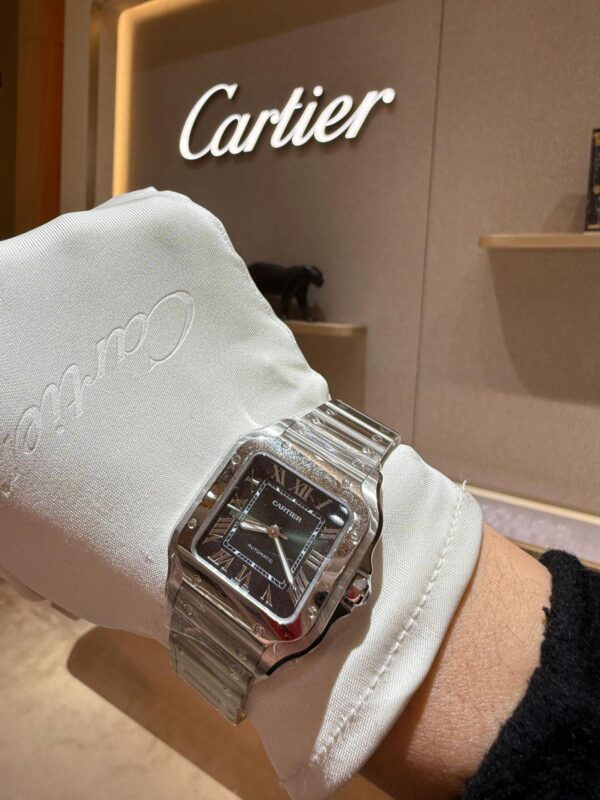 Cartier Santos Series WSSA0061 (Medium Size, Stainless Steel, Smoky Green Dial)