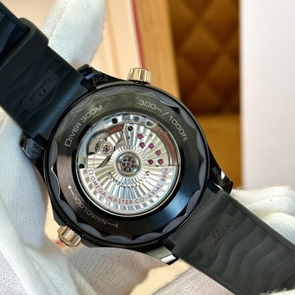 Omega Seamaster 210.62.44.20.01.001 (Black Ceramic, Titanium, Rose Gold)