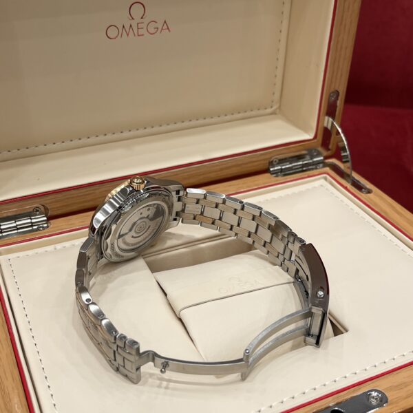 Omega Seamaster Diver 210.20.42.20.01.001 (Black Enamel Dial, 18K Rose Gold Case, Ceramic Bezel)
