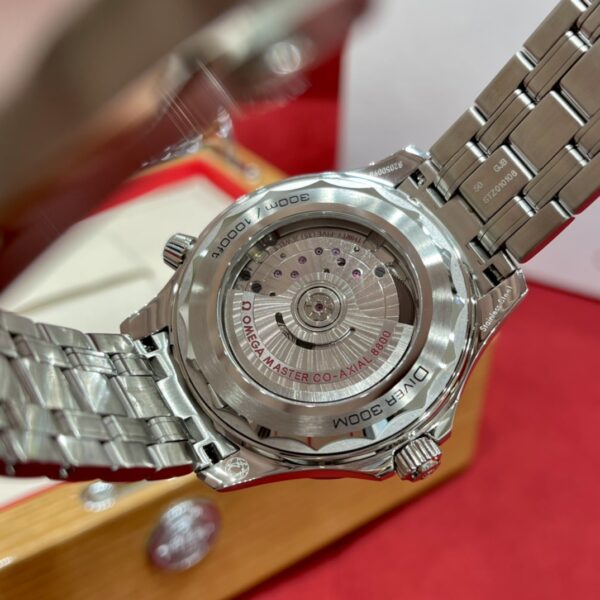 Omega Seamaster 210.30.42.20.01.001 (Black Ceramic, Stainless Steel)