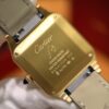 Cartier Santos-Dumont Series WGSA0077 (43.5mm, Gold Edition)